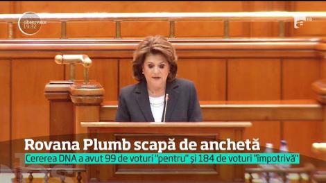 Zi decisivă pentru fostul ministru al Fondurilor Europene, Rovana Plumb