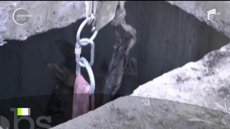 Salvare inedită şi cu mari emoţii într-o localitate din Neamţ!