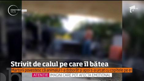 VIDEO / Scene terifiante! Un bărbat de 50 de ani, călcat în picioare de propriul cal, la scurt timp după ce îl bătuse minute în șir. Martorii au privit îngroziți răzbunarea animalului