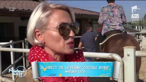 Ferma, locul în care copiii își pot vedea animalele preferate