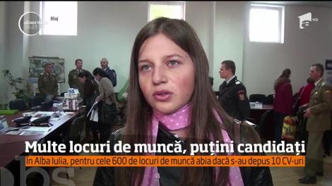 Târgul locurilor de muncă din Alba Iulia