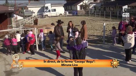 O zi la fermă, distracția copiilor: "Vrem să vedem poneii"