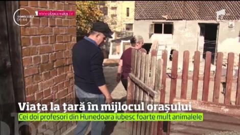 Doi soţi din Hunedoara au adus viaţa de la sat în mijlocul oraşului