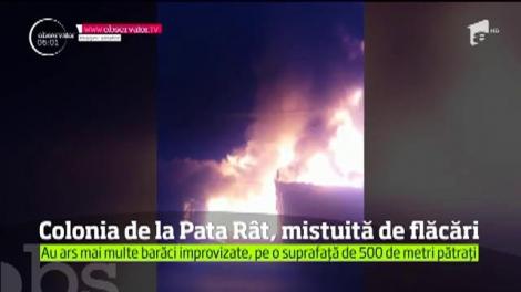 Colonia de lângă gropa de gunoi a municipiului Cluj-Napoca, mistuită de flăcări