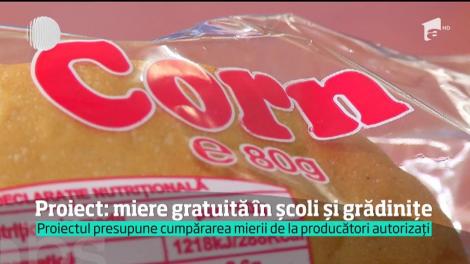 Miere gratuită în şcoli şi grădiniţe