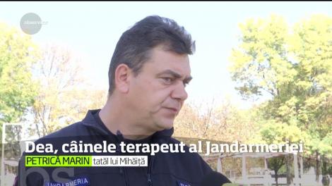 Dea, căinele terapeut al Jandarmeriei