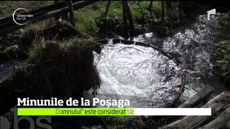 Izvorul FĂCĂTOR DE MINUNI din munții României atrage ca un magnet: „Oamenii SCAPĂ DE BOALĂ, dacă se spală cu apa de aici!”