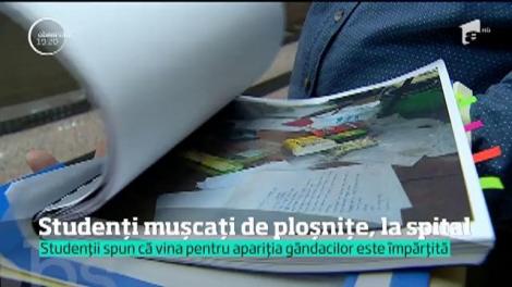 Ploşniţele au invadat căminele din campusul Politehnicii. Studenţii se plâng că dorm în pat cu insectele!