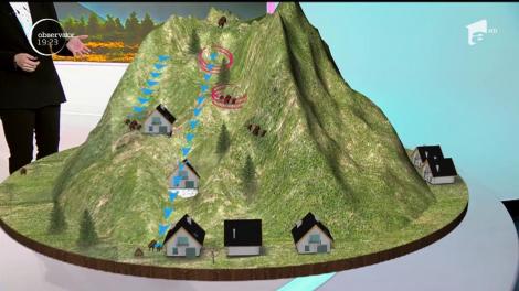 Urșii, o problemă greu de rezolvat. Din curtea unei familii, un urs înfometat a plecat cu un câine