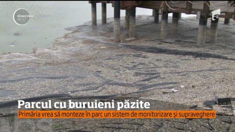 Primăria Ploieşti vrea să investească 40 de mii de lei în camere de supraveghere pentru parcul oraşului. Locul arată precum un teren viran