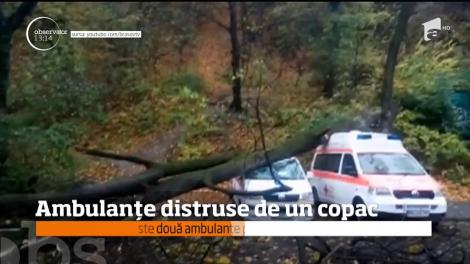 În Braşov, două ambulanţe au fost distruse de un copac, pus la pământ de vântul puternic