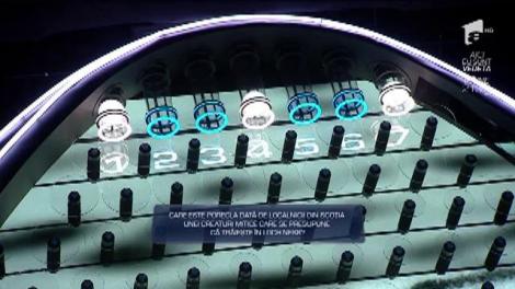 "Cădere liberă", prima probă pentru Eliza și Claudiu la The Wall - Marele Zid