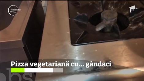 Pizzerie vegetariană invadată de gândaci!