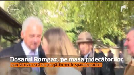 Omul de afaceri Ioan Nicuale, dar si Adriean Videanu, fostul ministru al economiei, riscă să ajungă după gratii
