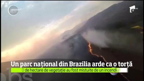 Un parc naţional din centrul Braziliei riscă să fie distrus în totalitate din cauza unui incendiu de proporţii