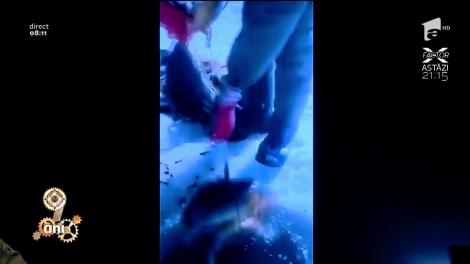 Smiley News. Cea mai bogată captură de peşte la copcă