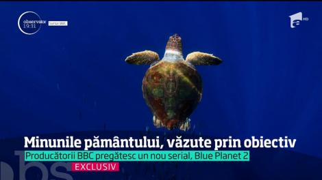 Blue Planet 2. Minunile din adâncurile oceanelor, văzute prin obiectiv