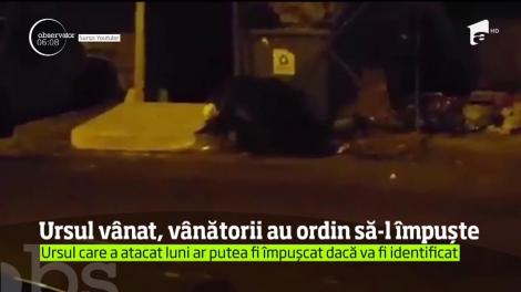 O întreagă comunitate a fost pusă pe jar după ce un urs a atacat doi oameni în Făgăraş