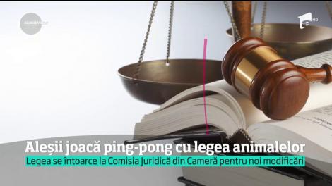 Aleşii joacă ping-pong cu legea animalelor
