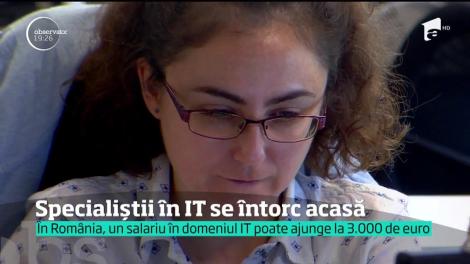 Celebra Silicon Valley se mută uşor, uşor, din inima Californiei, pe plaiuri româneşti