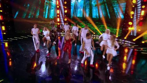 Baletul Furnica - Scufiţa Roşie