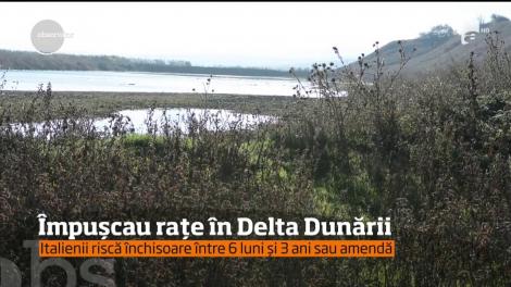 Împuşcau raţe în Delta Dunării! Trei italieni s-au ales cu dosar penal pentru asta