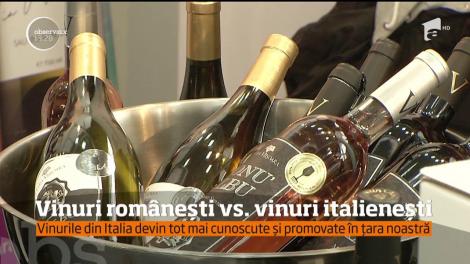 Românii încep să pună preţ, din ce în ce mai mult, pe calitate şi atunci când vine vorba de vinuri