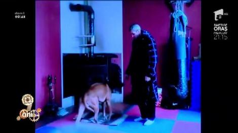 Smiley News. Antrenamentul de înviorare! Un nene se luptă cu forțele invizibile și bagă în sperieți un câine: "Dacă îl mușcă, intră în comă alcoolică"