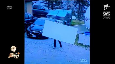 Smiley News! Cum să cari o placă atunci când vântul e împotriva ta