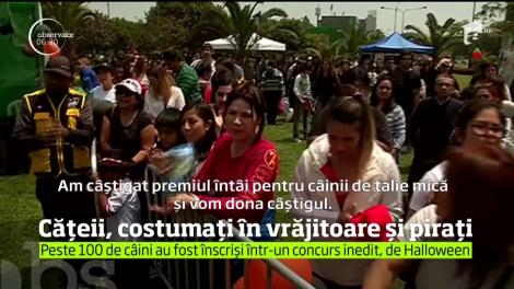 În prag de Halloween, nu doar oamenii se întrec în concursuri pentru cel mai bun costum, ci şi patrupedele