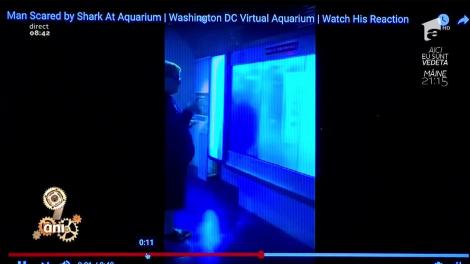 Smiley News. Clipe de coșmar. S-a aruncat pe jos când a fost atacat de un rechin