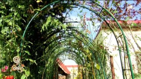 Idei de amenajare a grădinii. Care este anotimpul ideal pentru începerea amenajărilor