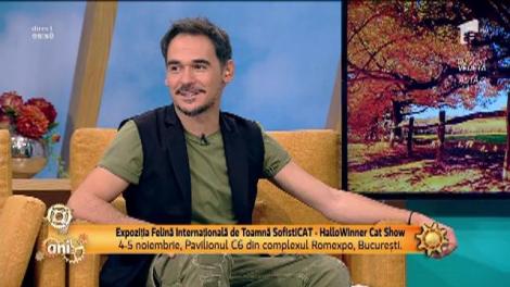 Expoziția Felină Internațională de Toamnă SofistiCAT, la finalul acestei săptămâni, în complexul Romexpo