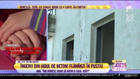 Patru îngeri se zbat să supraviețuiască într-un iad de beton