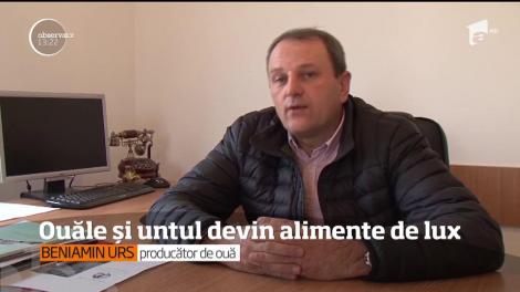 Criza europeană și scumpirea carburanților au majorat prețul ouălor