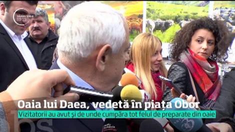 Oaia, vedetă în piața Obor din Capitală