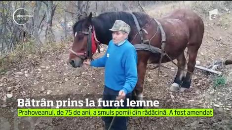 Un bătrânel din Prahova i-a surprins până şi pe jandarmi cu sinceritatea sa!