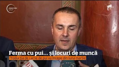 Sute de şomeri din Gorj își pot găsi acum un loc de muncă la care nici nu sperau