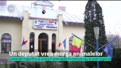 Prima morgă pentru animale, în România! Unde vor fi amenajate spațiile speciale: "Nu mai trebuie să le îngropi"