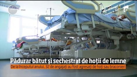 Un pădurar din Mureş a fost bătut și sechestrat de hoții de lemne