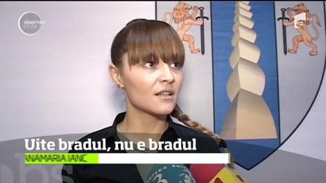 Cel mai scump brad de Crăciun din România riscă să nu mai fie expus de sărbători, în Târgu Jiu!