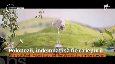 Campanie inedită a guvernului polonez!