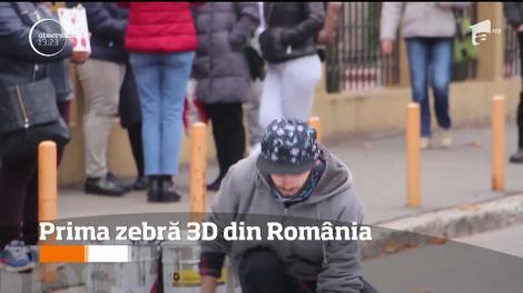 Prima zebră 3D din România