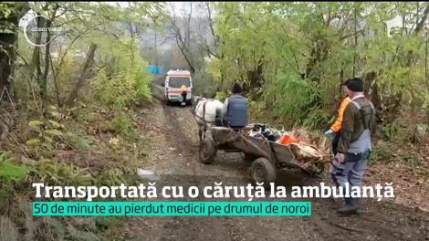 O bolnavă din Vaslui a fost trasportată la spital cu o căruță