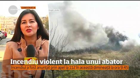 Incendiu violent la hala unui abator din Tulcea