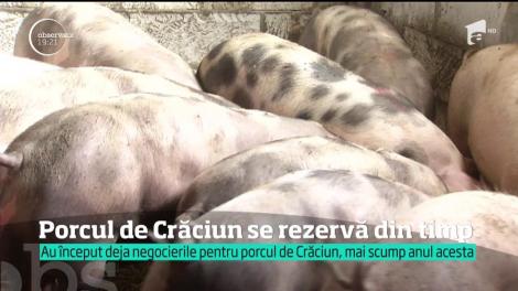 Deja vă gândiți la șorici și cârnăciori? Vești proaste! Porcul pentru acest Crăciun va fi cel mai scump din ultimii ani. Cât va costa kilogramul de carne