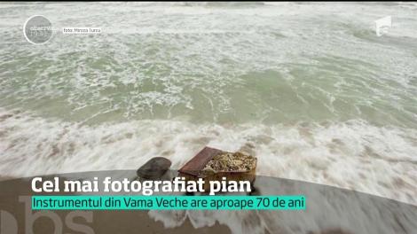 Povestea pianului din Vama Veche: „Ne-am gândit la el ca la un om bătrân, care își trăiește ultimele clipe de viață, îl lăsăm să își trăiască fericirea aici!”