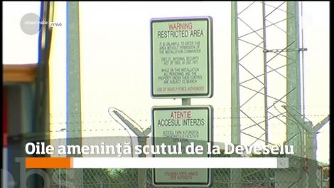 Favoritele lui Petru Daea ar putea să ne strice relaţiile cu americanii de la Deveselu!