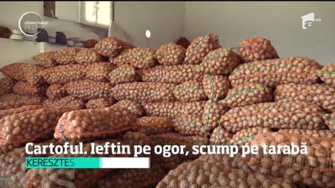 Avem cea mai mare producţie de cartofi de după Revoluţie şi cei mai săraci producători
