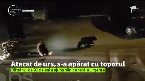 S-a luptat cu ursul în curtea casei. Ce l-a salvat pe bărbatul de 91 de ani din ghearele animalului